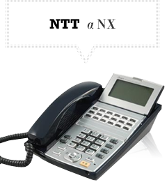 NTT αNX